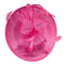 Nelly Fascinator Calypso