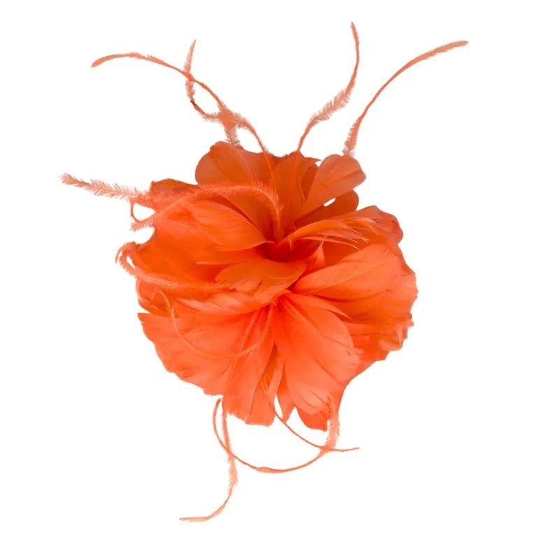 Elle Fascinator Papaya