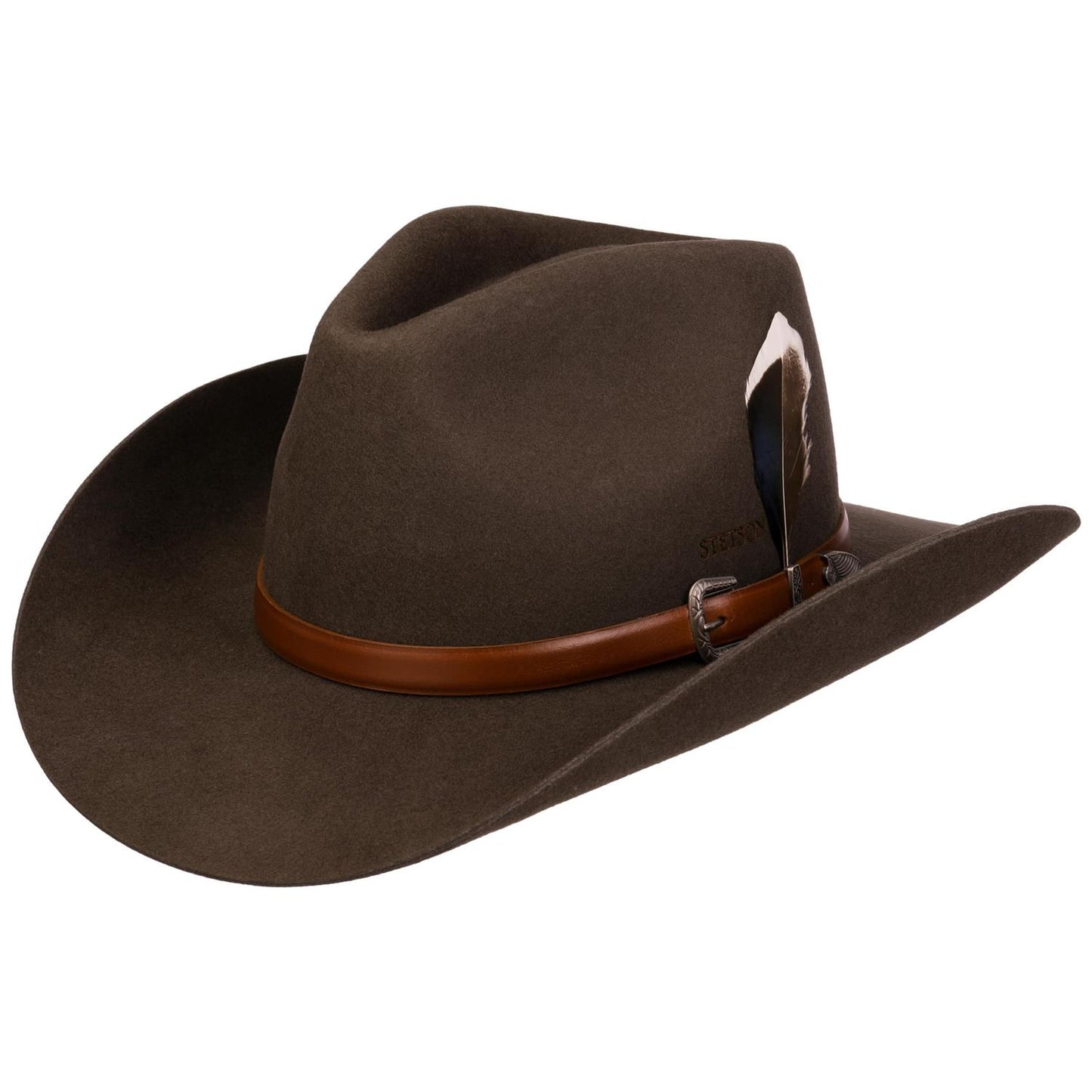 Western Sierra Brown