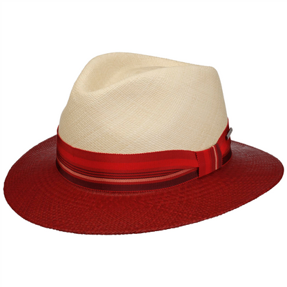 Traveller Panama