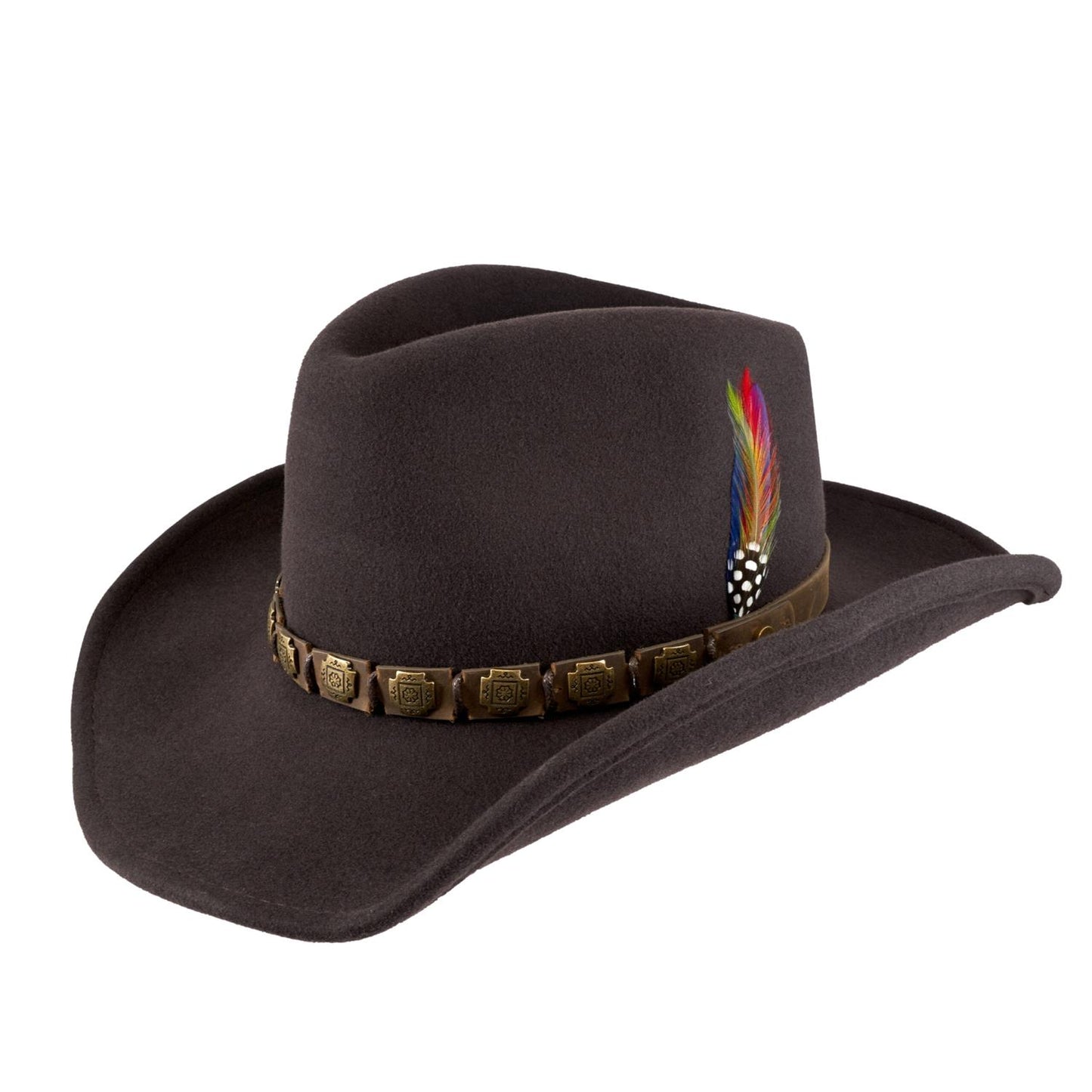 Western Hackberry Brown