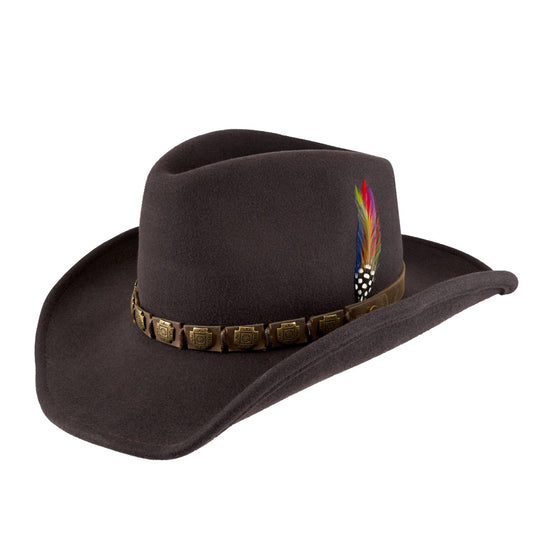 Western Hackberry Brown