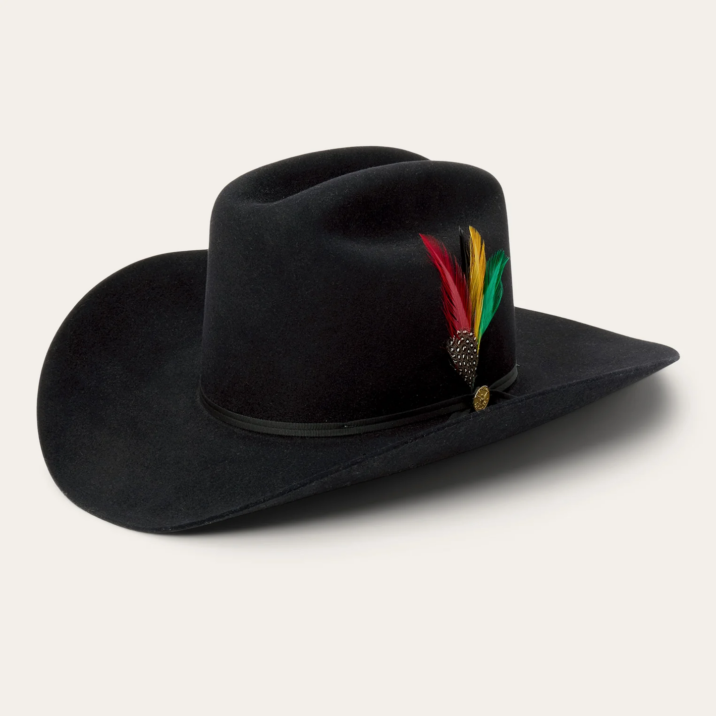 Rancher 160th Edition 6X Black