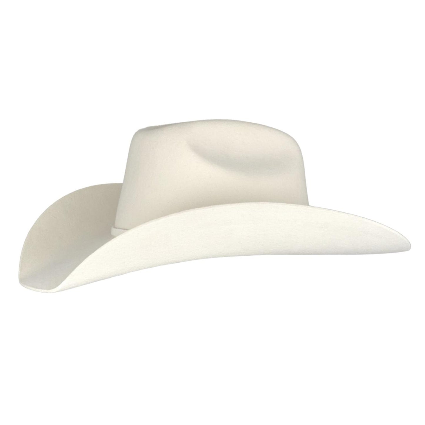 Wyoming Western Silverbelly