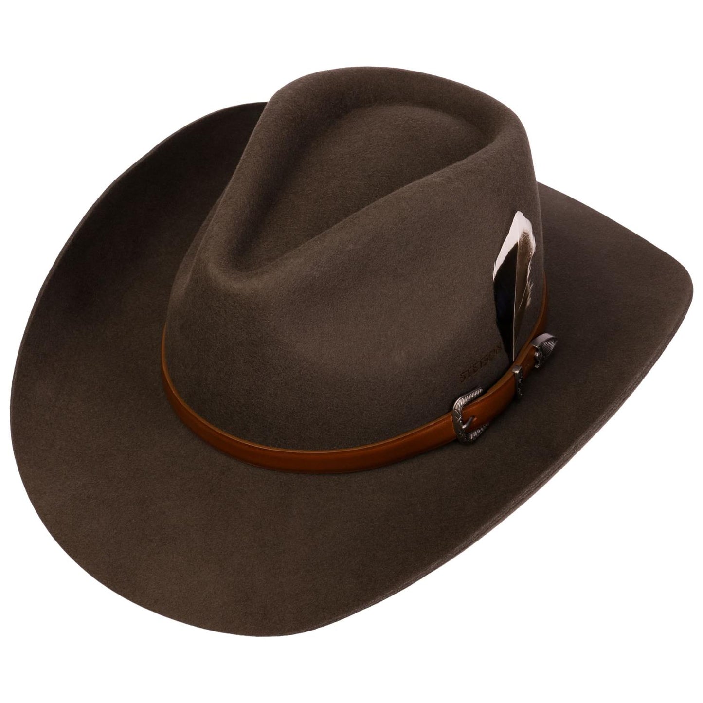 Western Sierra Brown